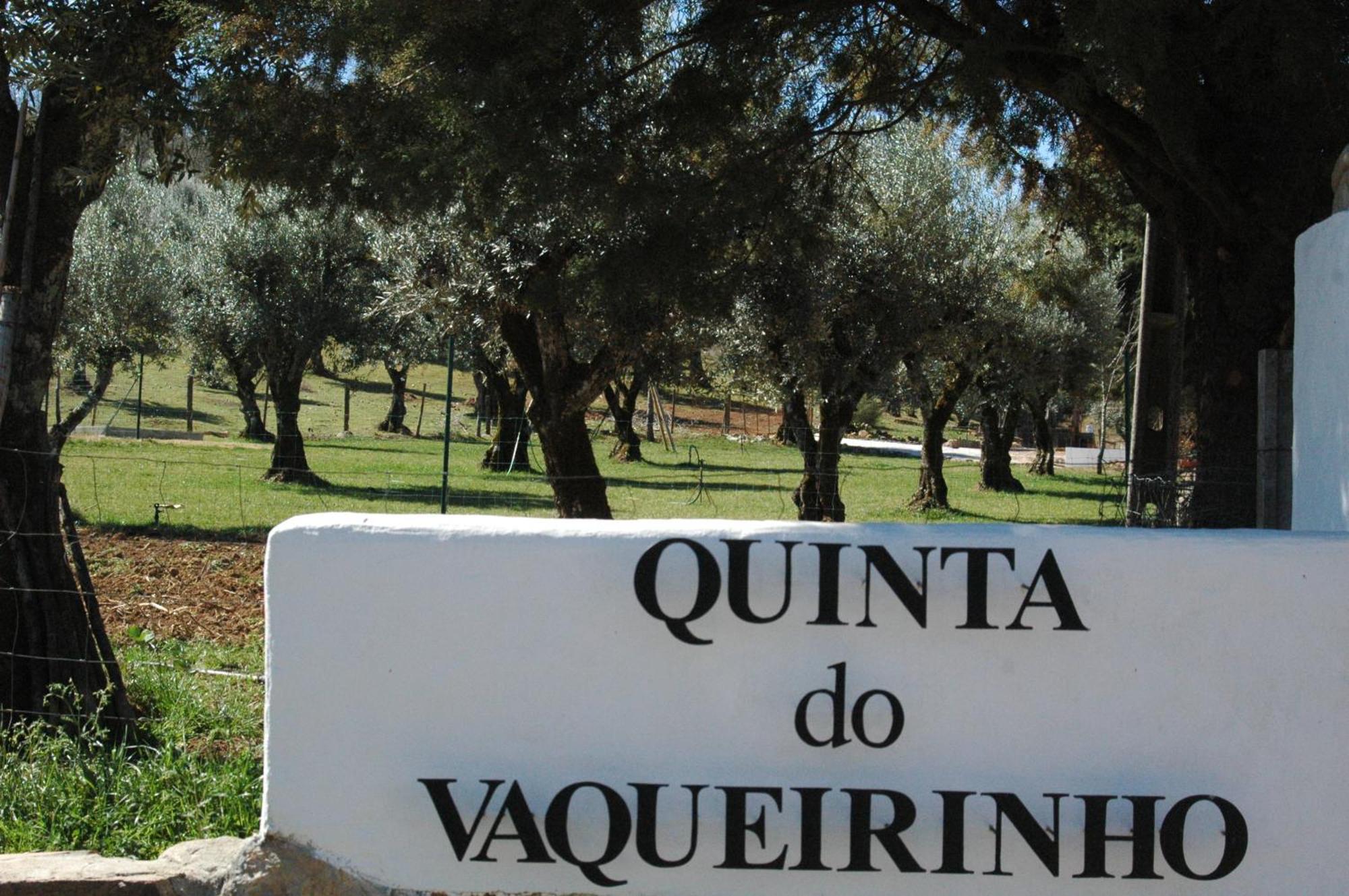 Quinta Do Vaqueirinho - Agro-Turismo Βίλα Marvão Εξωτερικό φωτογραφία