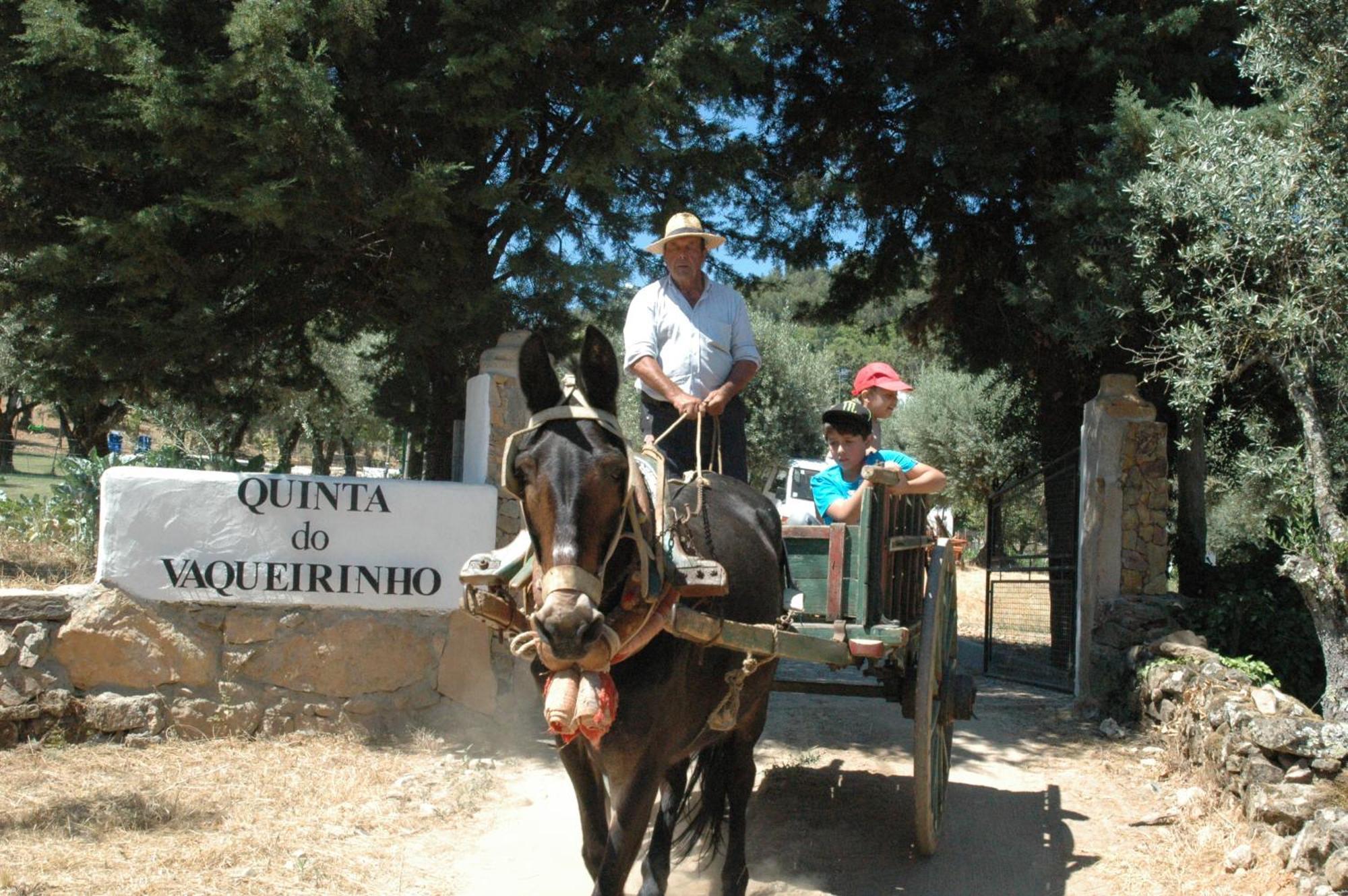 Quinta Do Vaqueirinho - Agro-Turismo Βίλα Marvão Εξωτερικό φωτογραφία