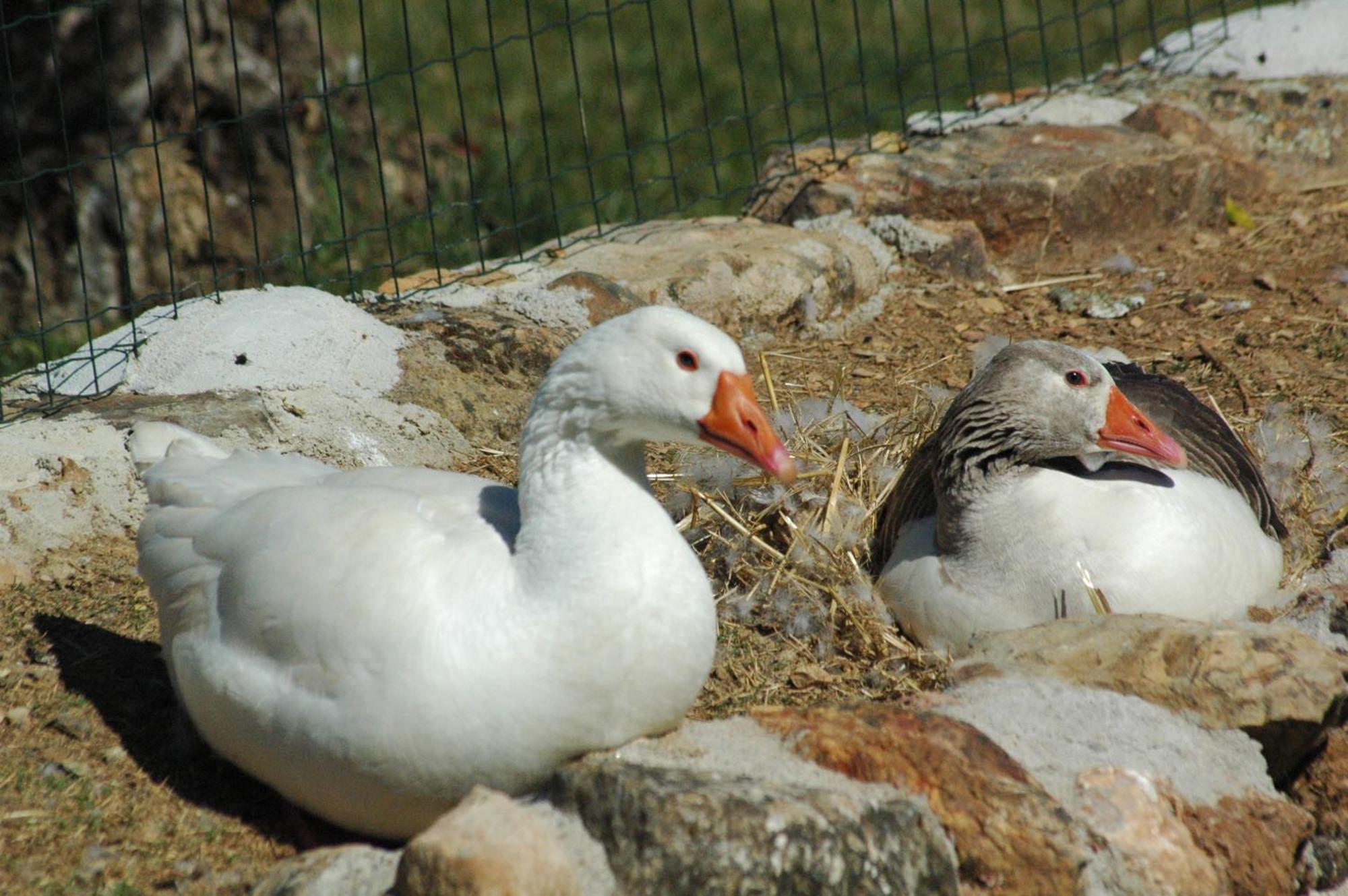Quinta Do Vaqueirinho - Agro-Turismo Βίλα Marvão Εξωτερικό φωτογραφία