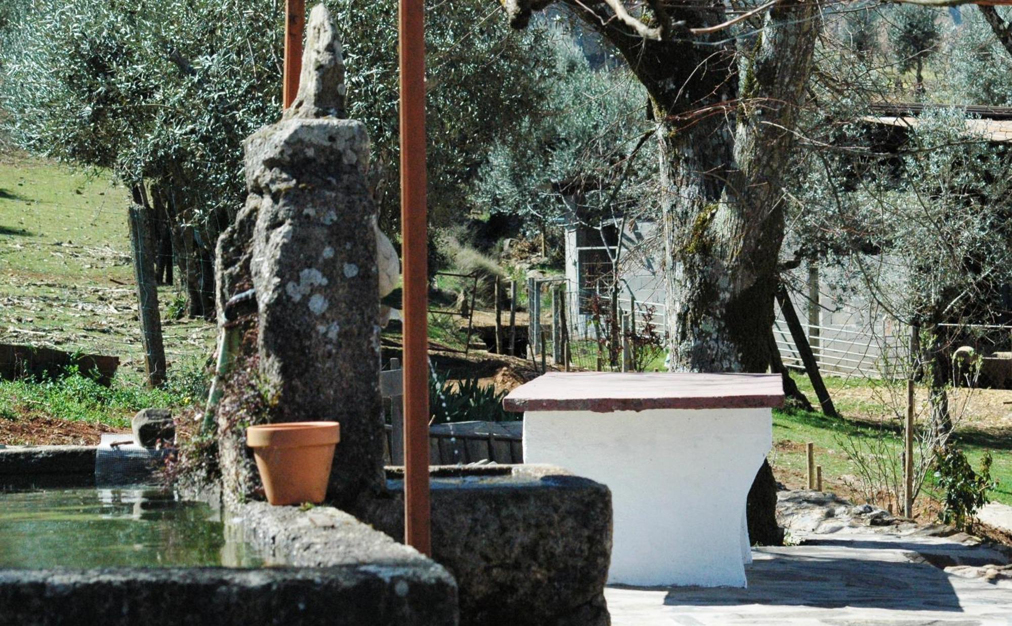 Quinta Do Vaqueirinho - Agro-Turismo Βίλα Marvão Εξωτερικό φωτογραφία