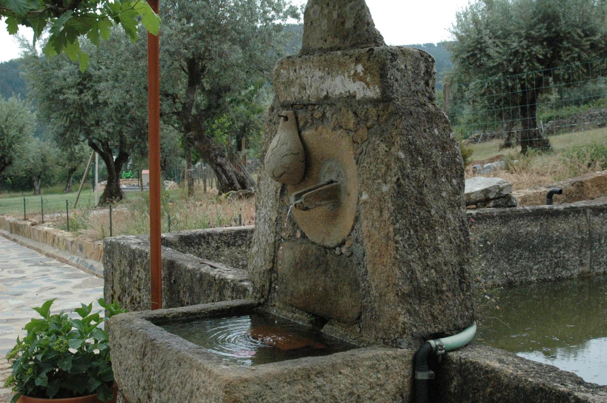 Quinta Do Vaqueirinho - Agro-Turismo Βίλα Marvão Εξωτερικό φωτογραφία