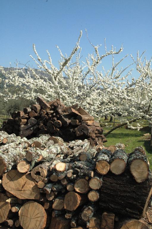 Quinta Do Vaqueirinho - Agro-Turismo Βίλα Marvão Εξωτερικό φωτογραφία