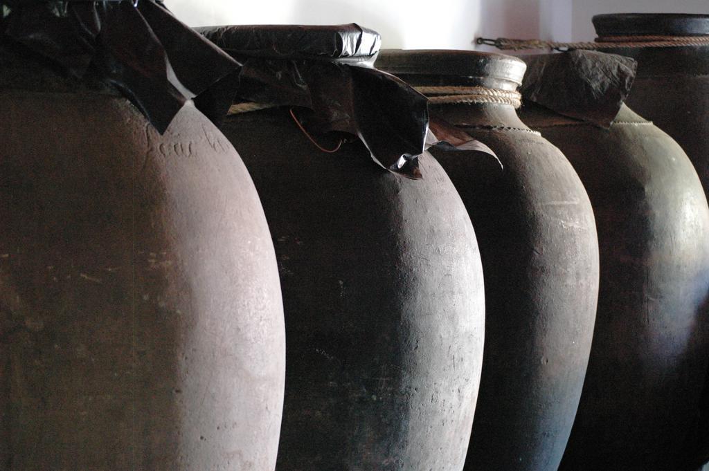 Quinta Do Vaqueirinho - Agro-Turismo Βίλα Marvão Εξωτερικό φωτογραφία
